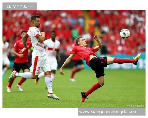 冰岛与捷克足球对决谁将赢得胜利分析与预测 冰岛与捷克足球对决谁将赢得胜利分析与预测