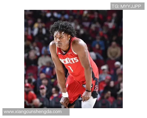 火箭队与开拓者队2015年季后赛精彩对决回顾与分析 火箭队与开拓者队2015年季后赛精彩对决回顾与分析