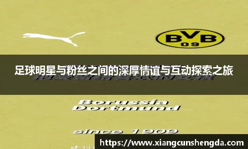 足球明星与粉丝之间的深厚情谊与互动探索之旅